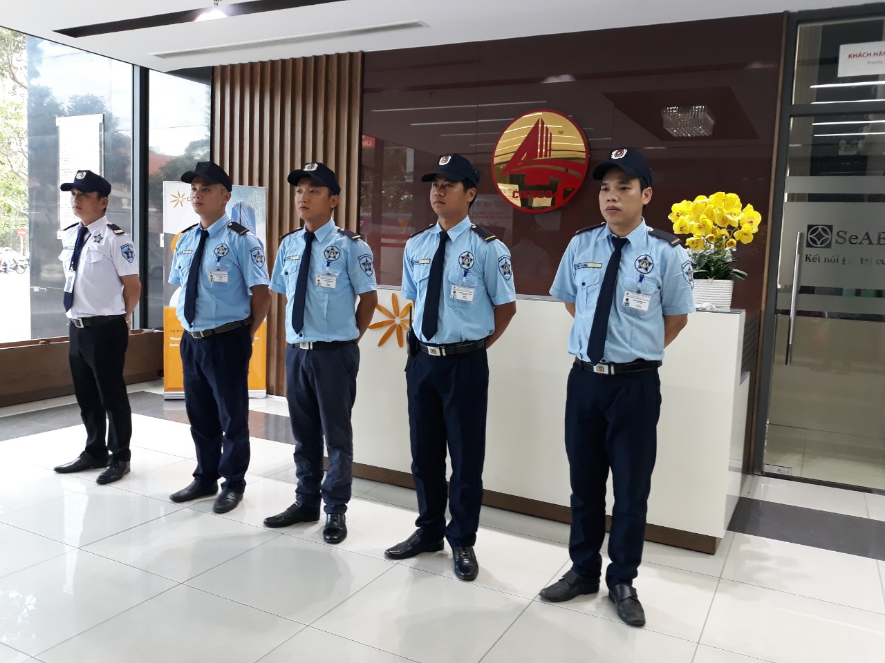 lĩnh vực hoạt động